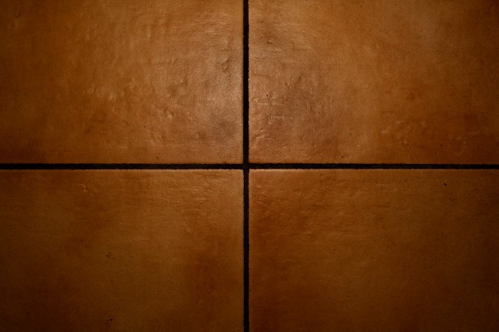 גוף בריא בבית נקי